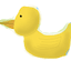 duck_master avatar